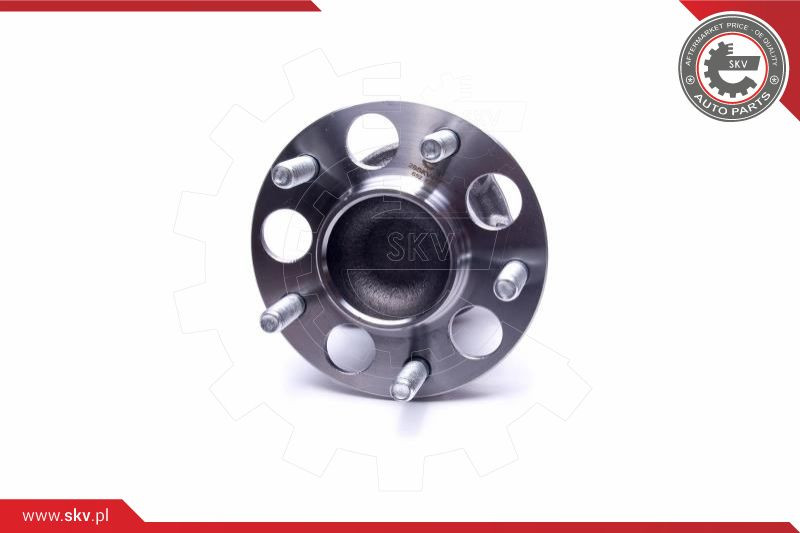 ESEN SKV Radlagersatz