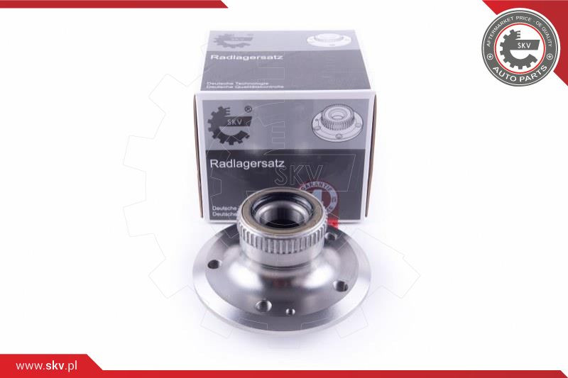 ESEN SKV Radlagersatz