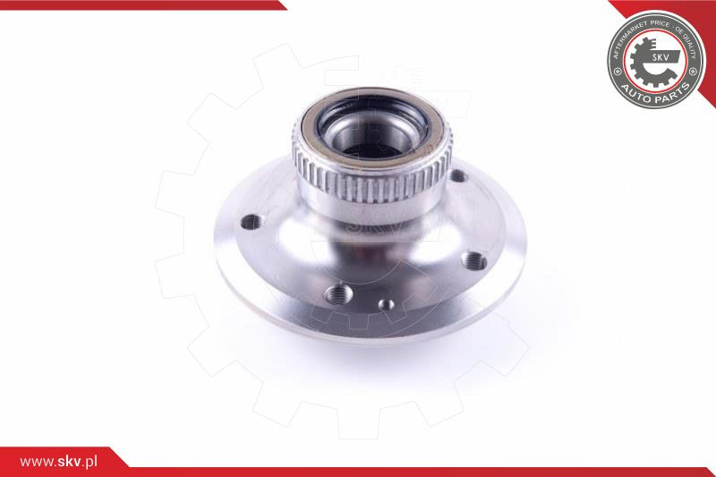 ESEN SKV Radlagersatz