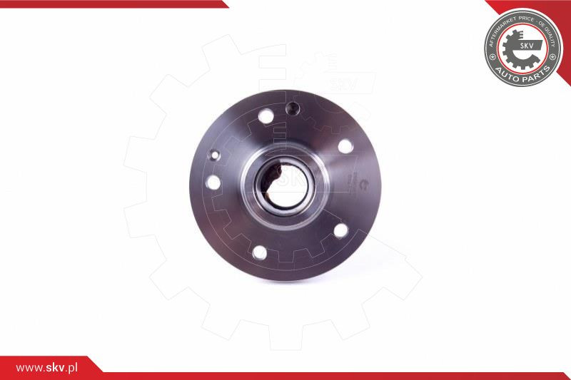 ESEN SKV Radlagersatz