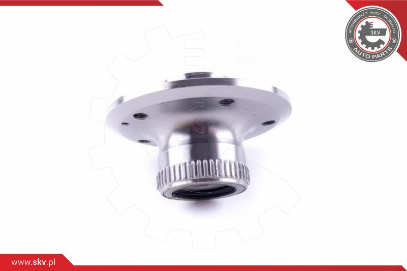 ESEN SKV Radlagersatz