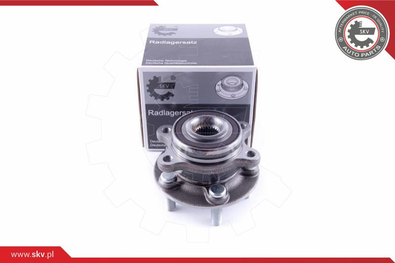 ESEN SKV Radlagersatz