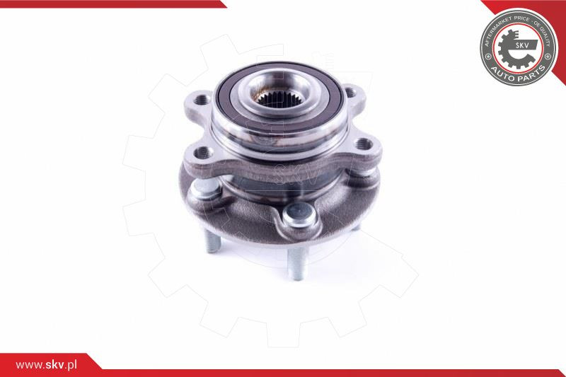ESEN SKV Radlagersatz