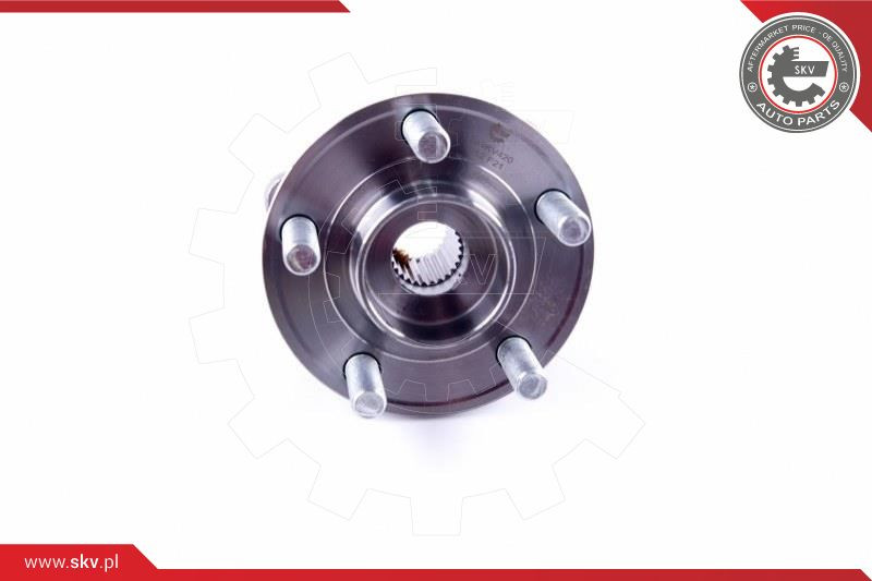ESEN SKV Radlagersatz