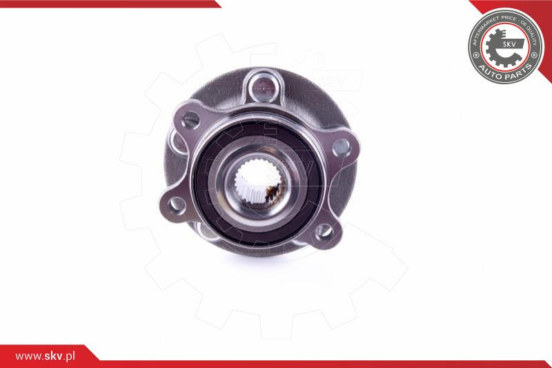 ESEN SKV Radlagersatz