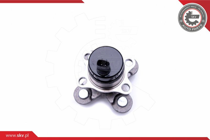 ESEN SKV Radlagersatz