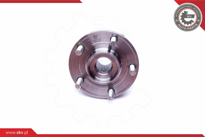 ESEN SKV Radlagersatz