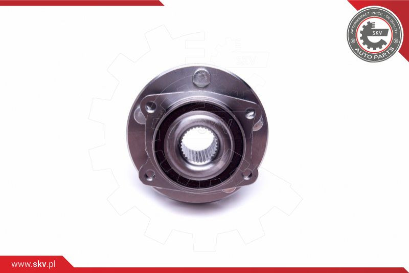 ESEN SKV Radlagersatz