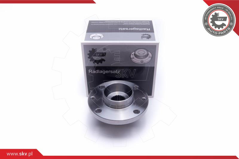 ESEN SKV Radlagersatz