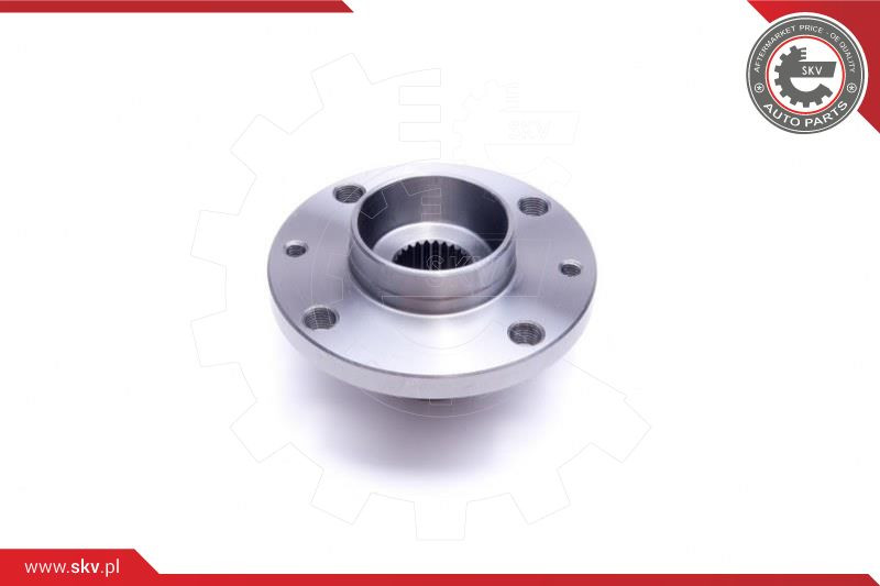 ESEN SKV Radlagersatz