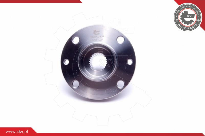 ESEN SKV Radlagersatz