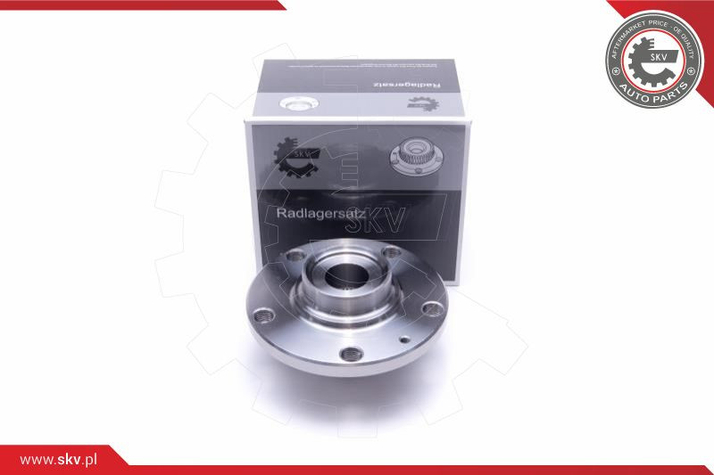 ESEN SKV Radlagersatz
