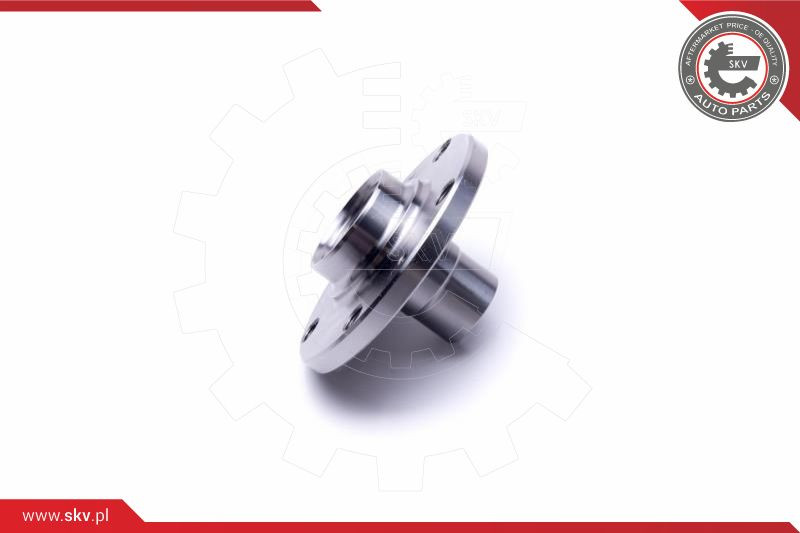 ESEN SKV Radlagersatz