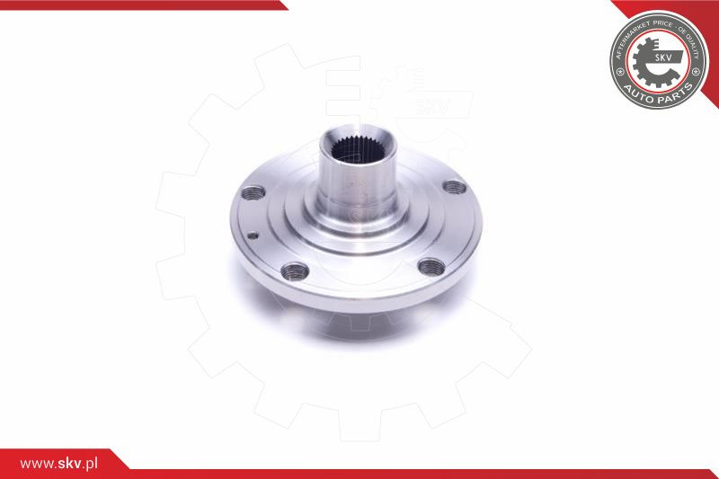 ESEN SKV Radlagersatz
