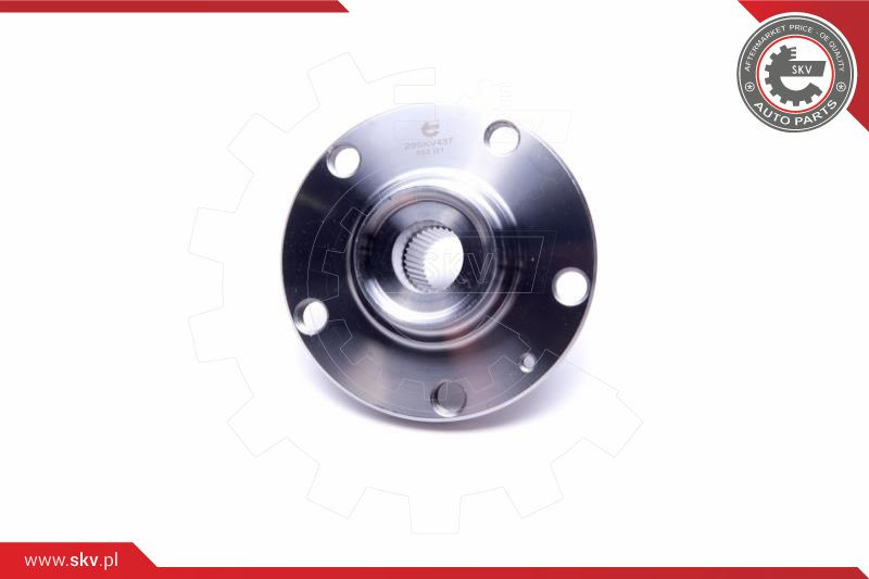 ESEN SKV Radlagersatz