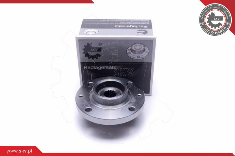 ESEN SKV Radlagersatz