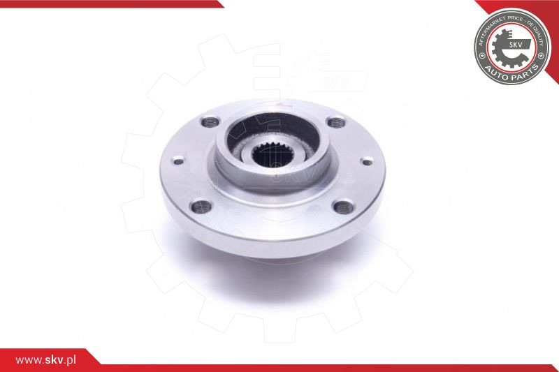 ESEN SKV Radlagersatz