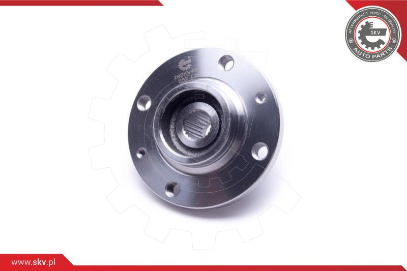 ESEN SKV Radlagersatz