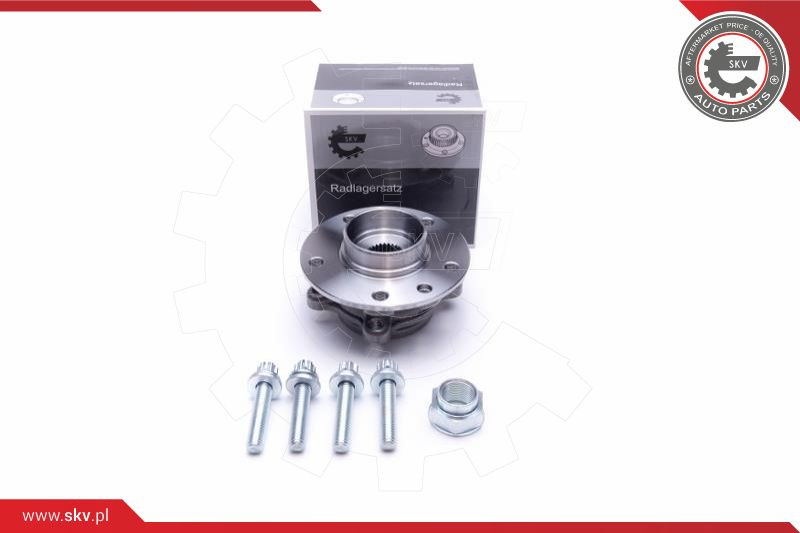 ESEN SKV Radlagersatz