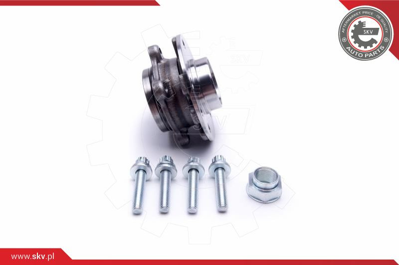 ESEN SKV Radlagersatz
