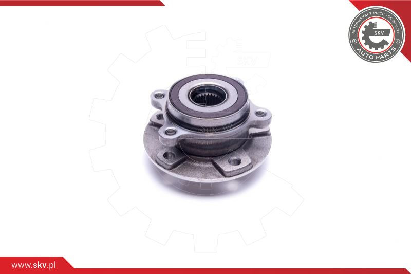 ESEN SKV Radlagersatz