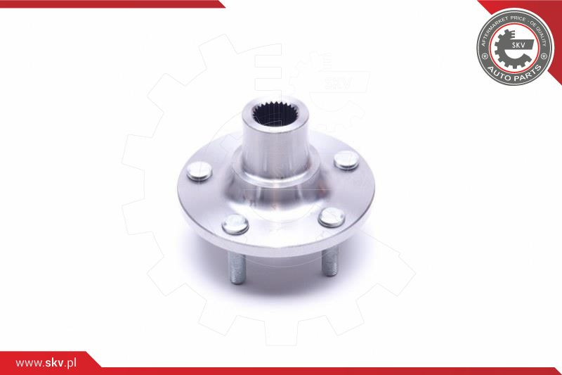 ESEN SKV Radlagersatz