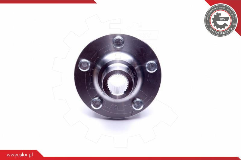 ESEN SKV Radlagersatz