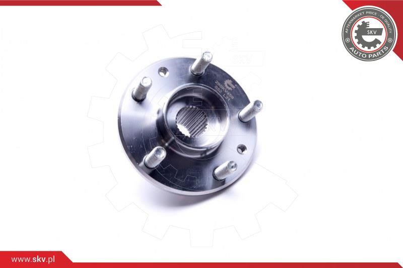 ESEN SKV Radlagersatz