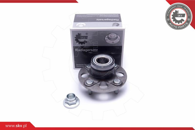 ESEN SKV Radlagersatz