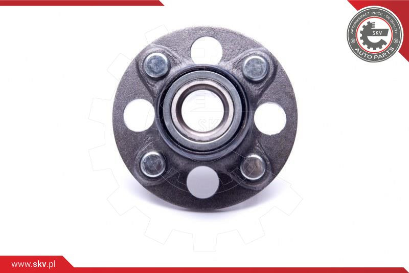 ESEN SKV Radlagersatz
