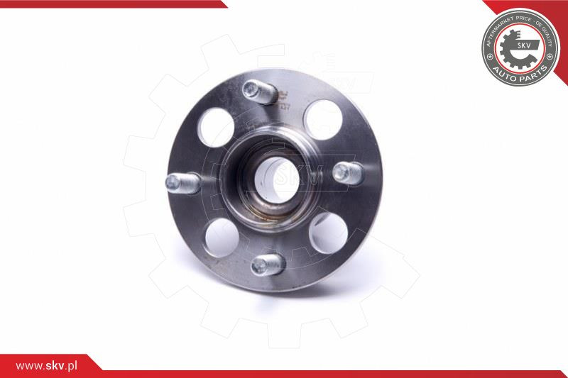 ESEN SKV Radlagersatz