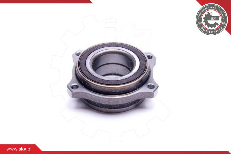 ESEN SKV Radlagersatz