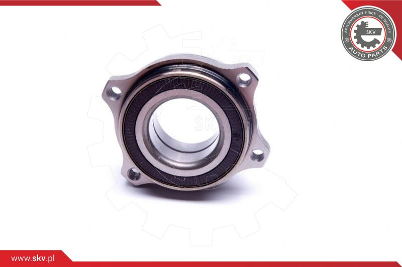 ESEN SKV Radlagersatz