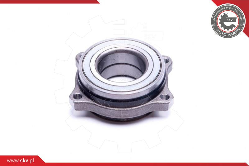 ESEN SKV Radlagersatz