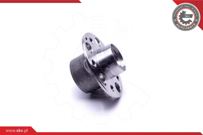 ESEN SKV Radlagersatz