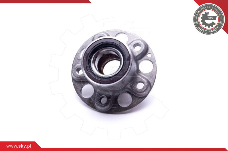 ESEN SKV Radlagersatz