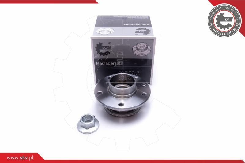 ESEN SKV Radlagersatz