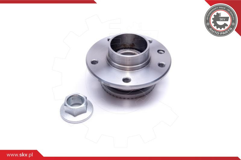 ESEN SKV Radlagersatz