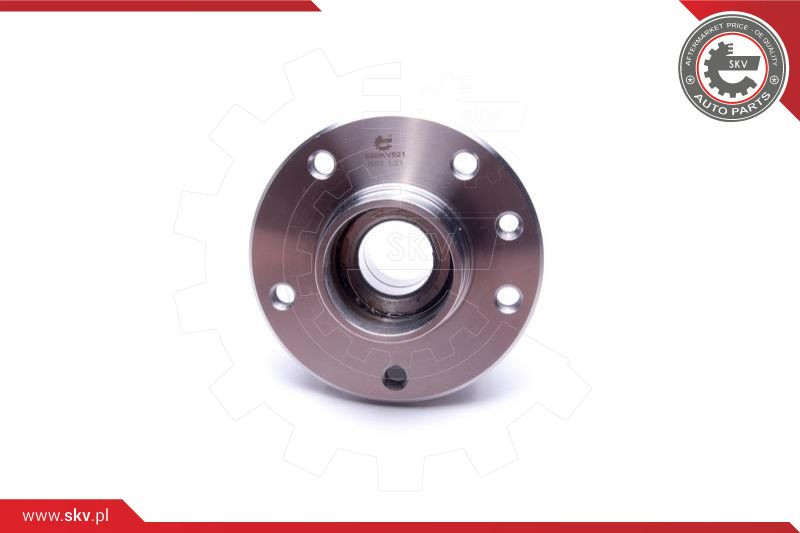 ESEN SKV Radlagersatz