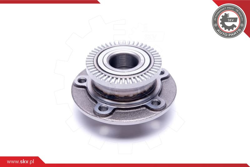 ESEN SKV Radlagersatz