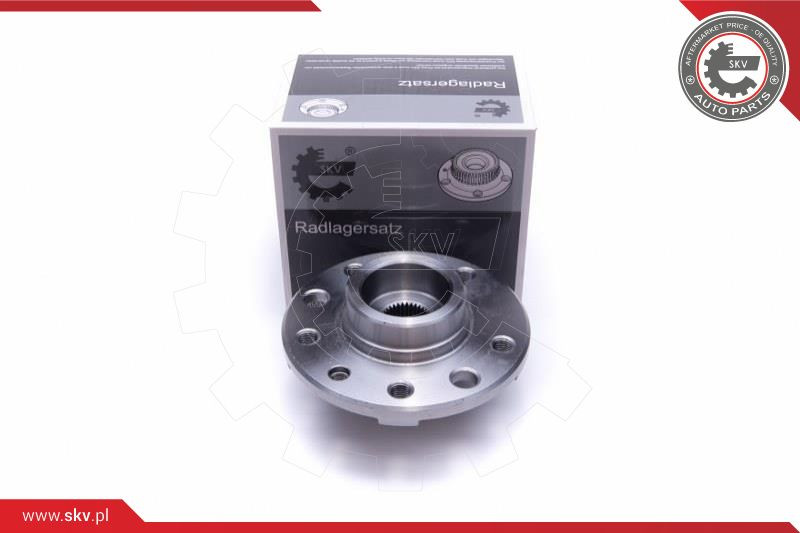 ESEN SKV Radlagersatz