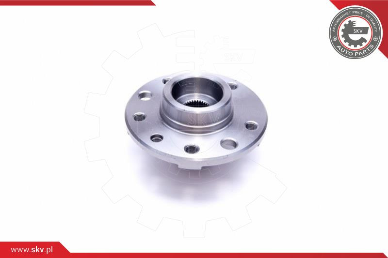 ESEN SKV Radlagersatz