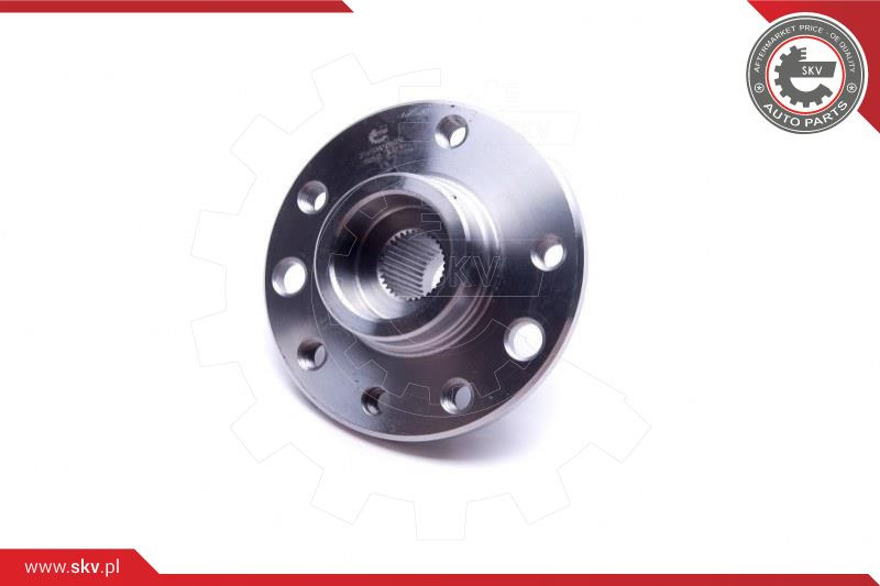 ESEN SKV Radlagersatz