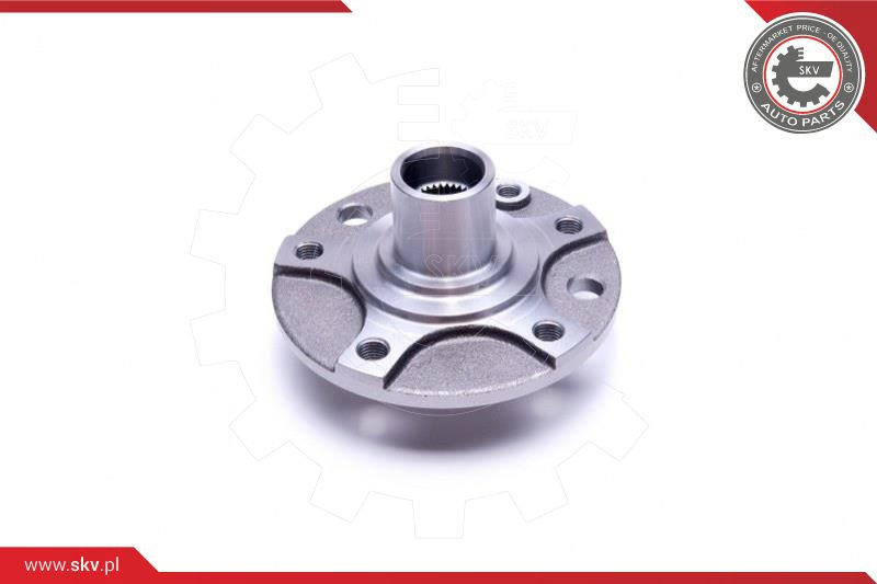 ESEN SKV Radlagersatz