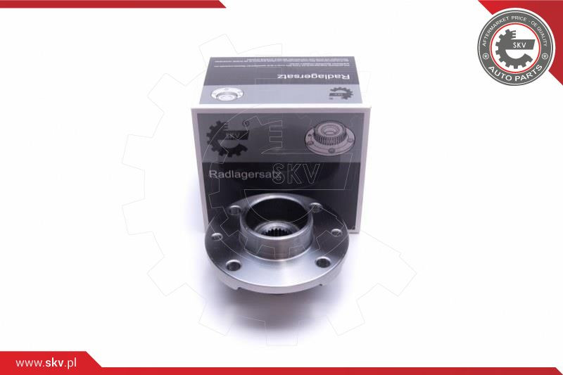 ESEN SKV Radlagersatz