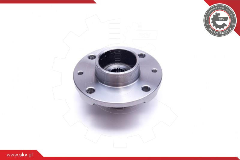 ESEN SKV Radlagersatz