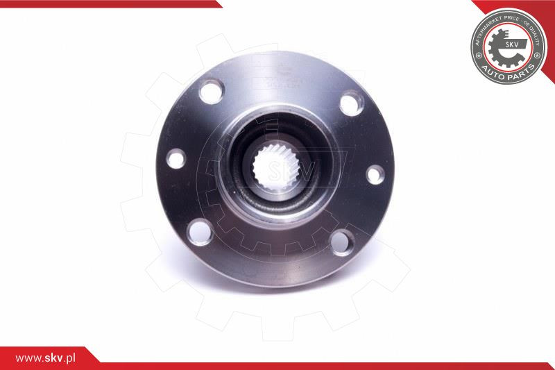 ESEN SKV Radlagersatz