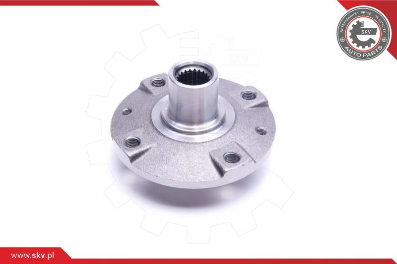 ESEN SKV Radlagersatz