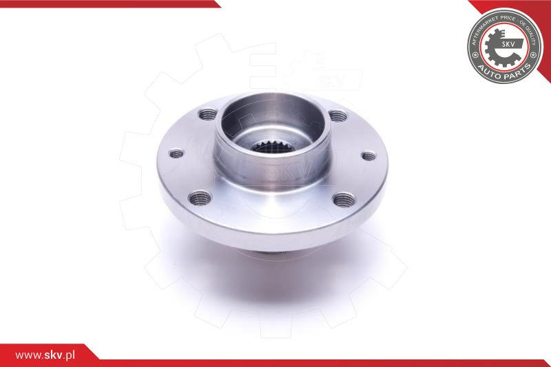ESEN SKV Radlagersatz