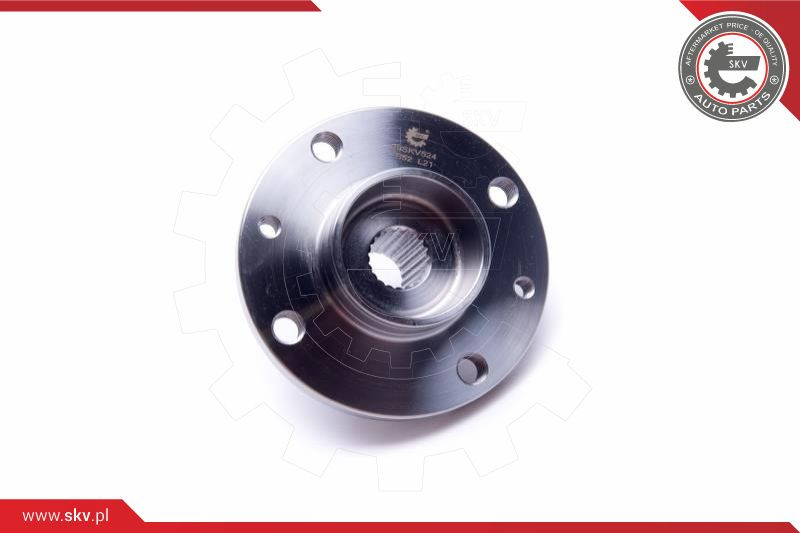ESEN SKV Radlagersatz